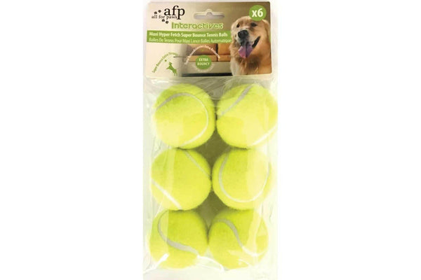 6 Pack Dog Fetch Balls - Heavy Fetch N Treat All For Paws Replacement Ball main image 0