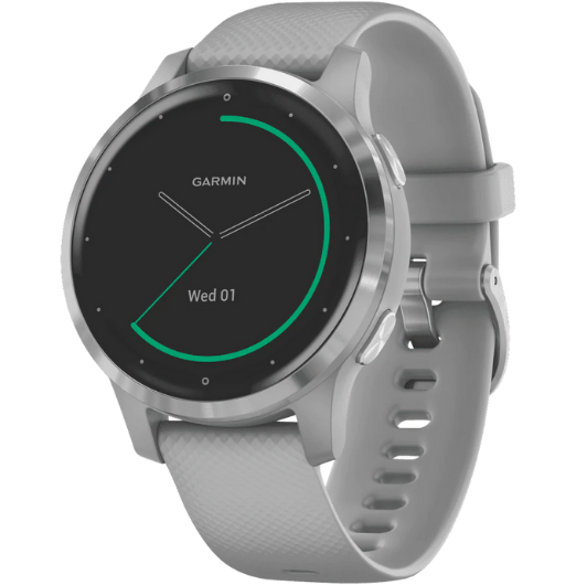 Garmin Vivoactive 4S Watch (Gray-Silver)
