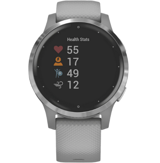 Garmin Vivoactive 4S Watch (Gray-Silver)