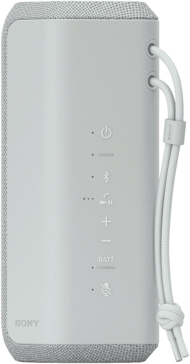 Sony X-Series Portable Wireless Speaker - Grey