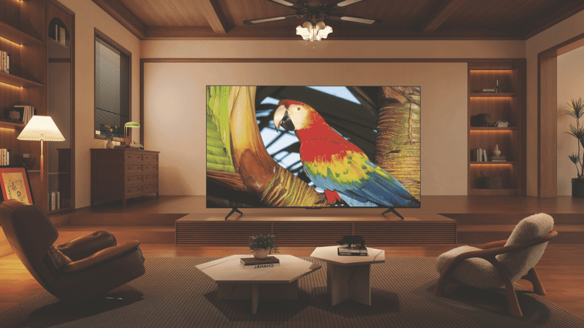 TCL 85" C655 QLED Google TV 24