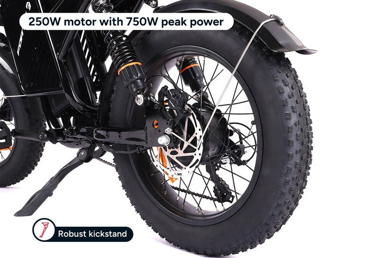 Fortis FatBro Plus 48V 13Ah Fat Tyre Electric Bike