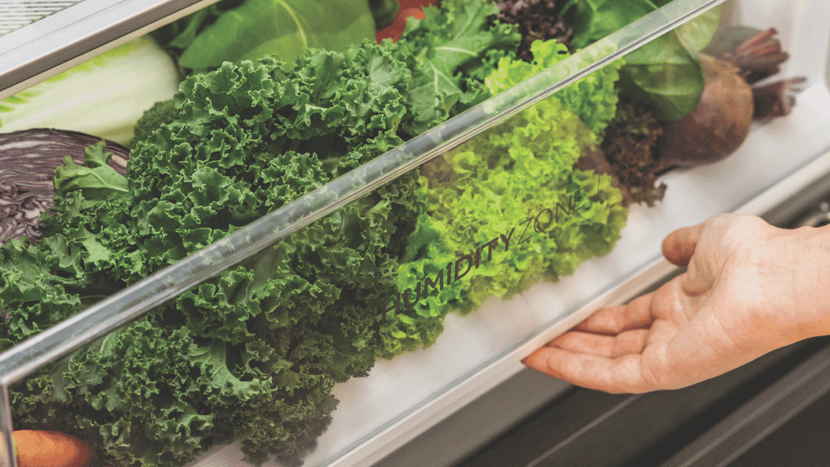 Haier 431L Bottom Mount Refrigerator - Layaway AU