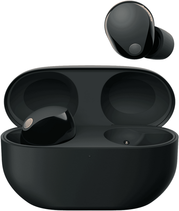 Sony Premium Noise Cancelling Earbuds