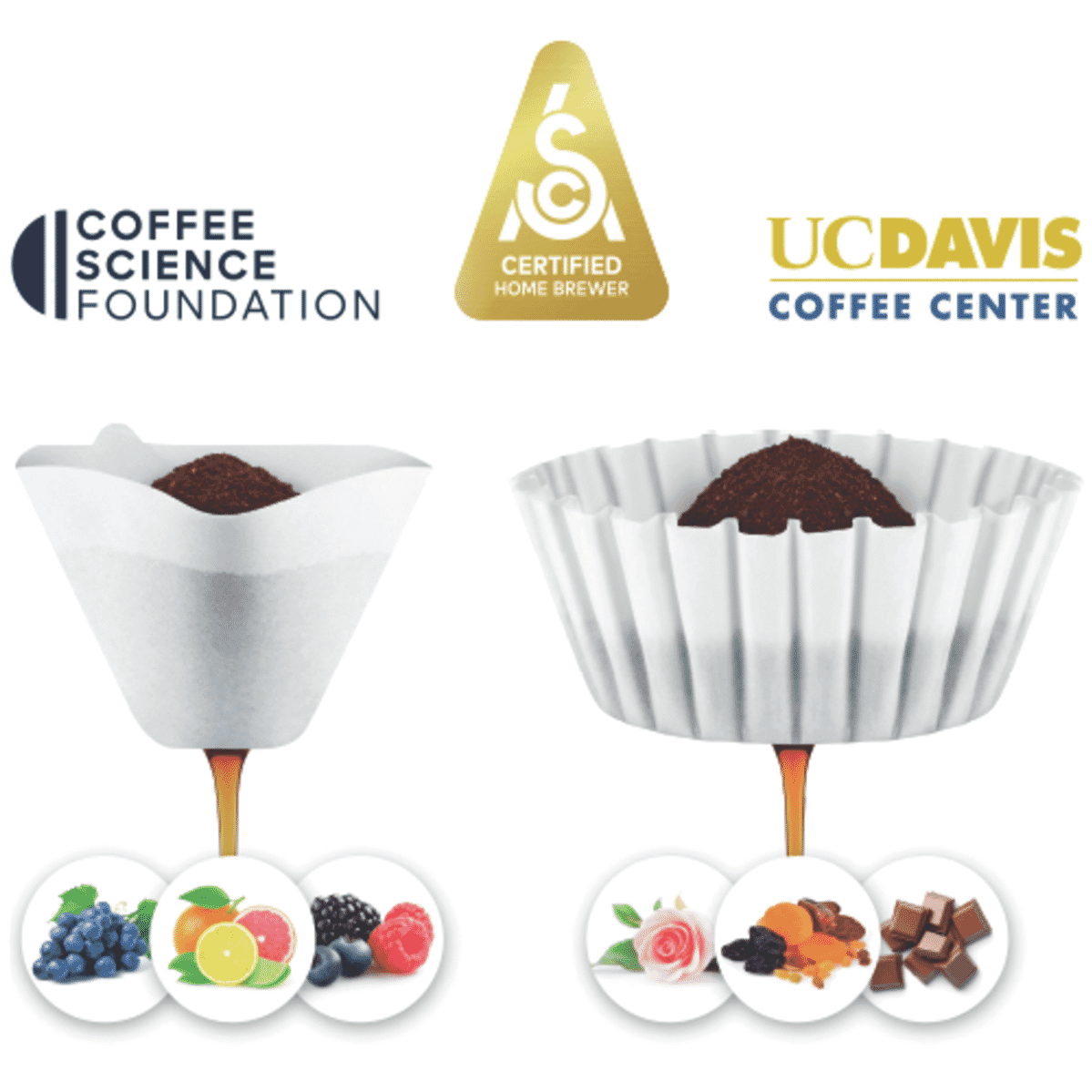 Breville The Precision Brewer Thermal Drip Filter Coffee Maker - Layaway AU