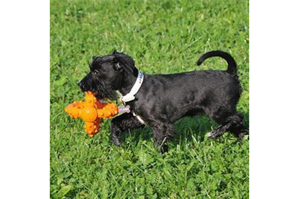Major Dog Octopus Retrieval Ball - Small - Fetch Toy