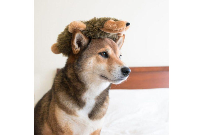 Zippy Paws Hedgehog Loopy