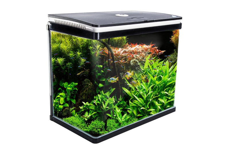 Dynamic Power Aquarium Fish Tank 52L Curved Glass Rgb Led Aquariums