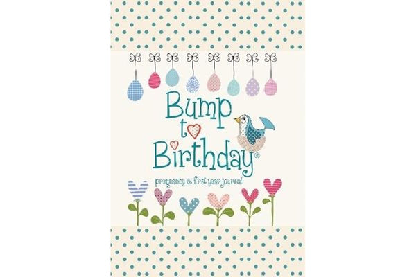 Bump to Birthday: Pregnancy & First Year Journal