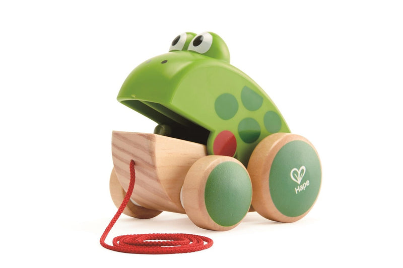 Hape: Frog - Pull Along Toy