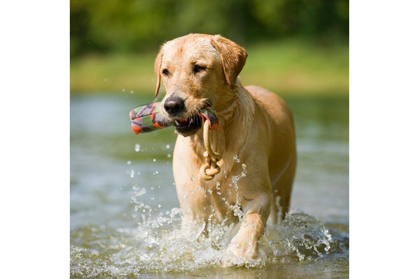 Major Dog Buoy Dummy - Small - Fetch Toy
