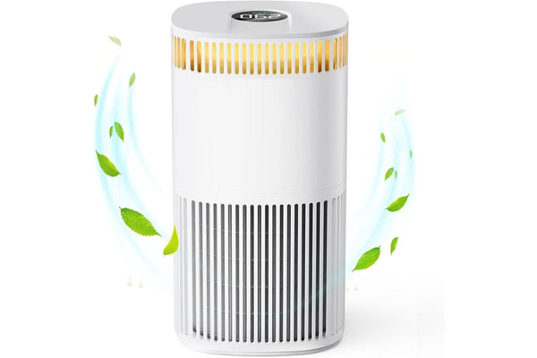 Air Purifier Large Room Pet Mode Filter