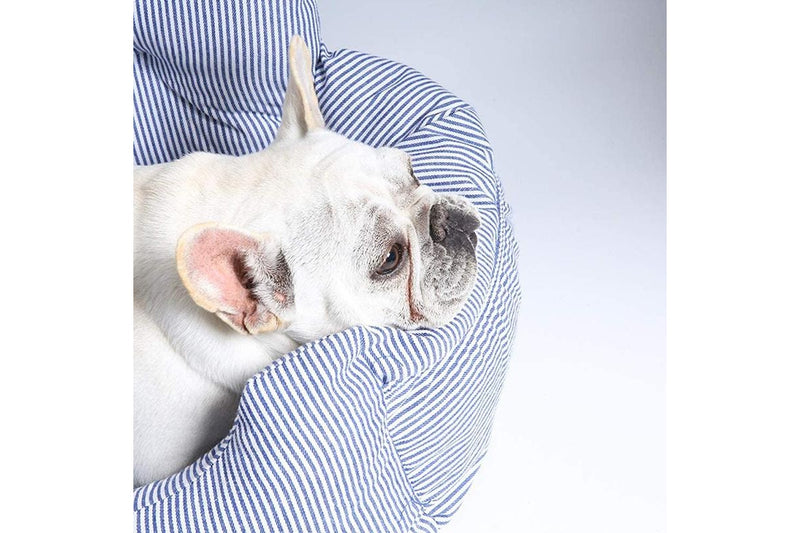 Petswol: Pet Booster Seat With Storage Pocket And Safety Leash - Blue (L)