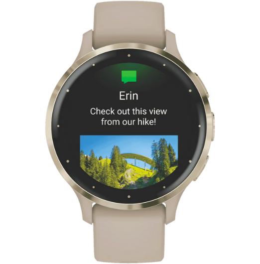 Garmin Venu 3S - French Gray/Soft Gold