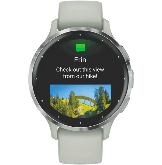 Garmin Venu 3S - Sage Gray Passivated