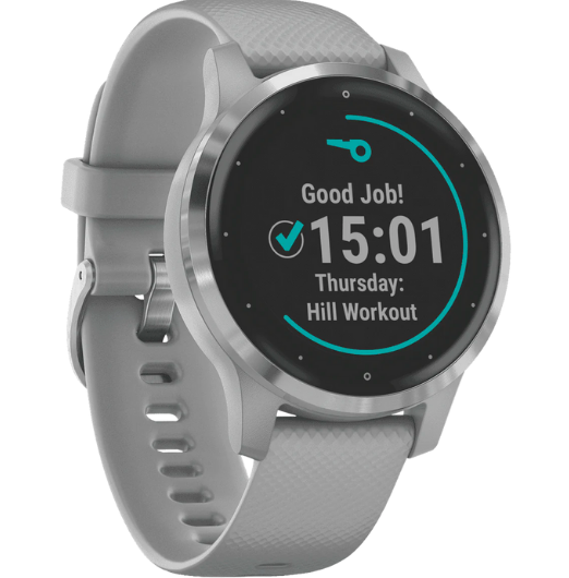 Garmin Vivoactive 4S Watch (Gray-Silver)