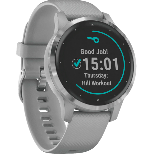 Garmin Vivoactive 4S Watch (Gray-Silver)