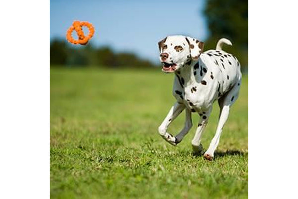 Major Dog Octopus Retrieval Ball - Large - Fetch Toy