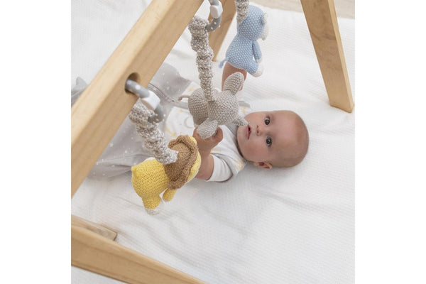 2pc Living Textiles Baby Newborn Cotton Knitted Stroller Toys Zebra & Lion