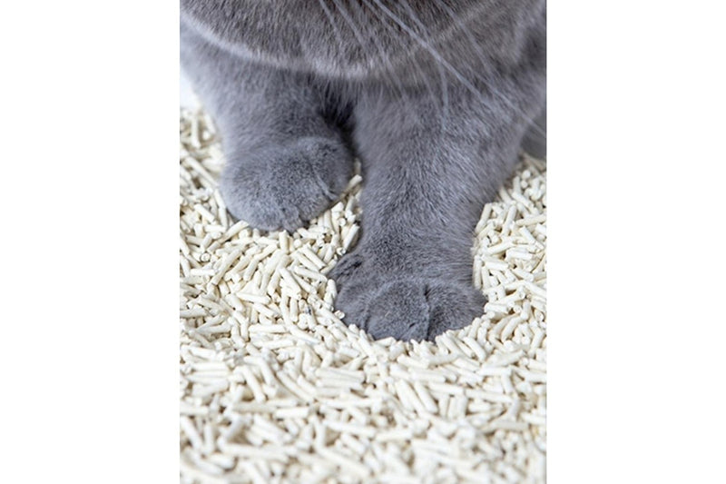 Kungfu Cat 17.5L 6.5kg Tofu Cat Pet Litter Deodoriser Fast Clumping Green Tea