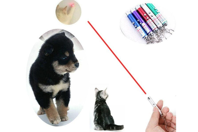 LED Laser Pointer Light Interactive Training Torch Mini Cat Pet Dog Pet Toy