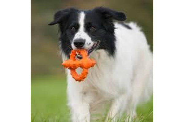 Major Dog Octopus Retrieval Ball - Small - Fetch Toy