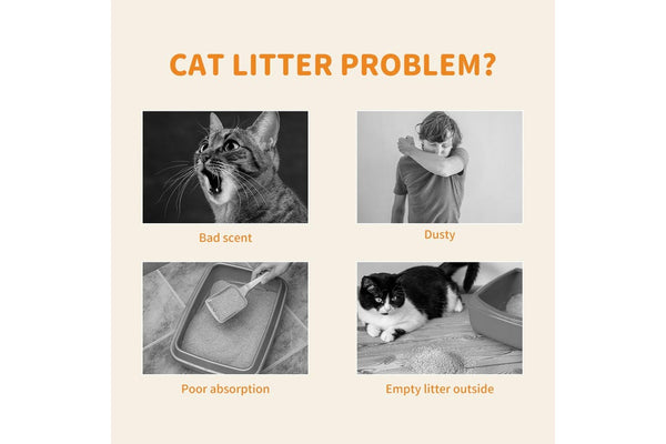 Pawz 2.5kg Tofu Cat Litter Clumping Flushable Fast Super Absorben Green Tea x4