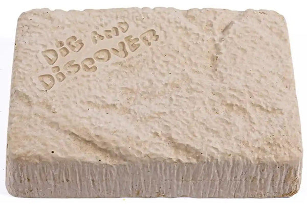 Dig & Discover: Triceratops Dig Kit