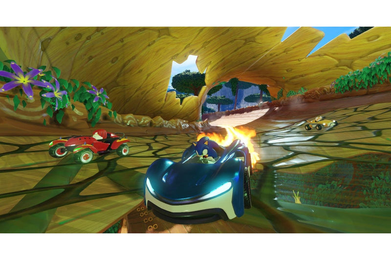 Team Sonic Racing