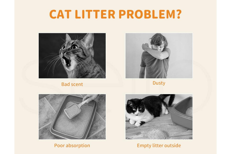 Pawz 2.5kg Tofu Cat Litter Clumping Flushable Fast Super Absorben Peach x6