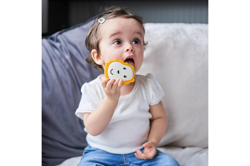 Matchstick Monkey: Teether Starter Set - Lion