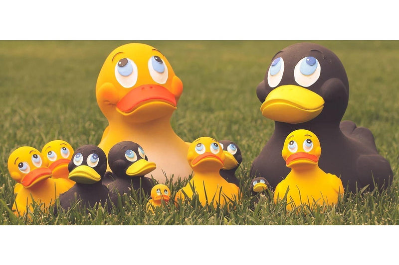 Lanco: Rubber Duck