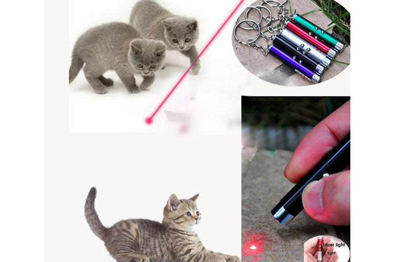 LED Laser Pointer Light Interactive Training Torch Mini Cat Pet Dog Pet Toy