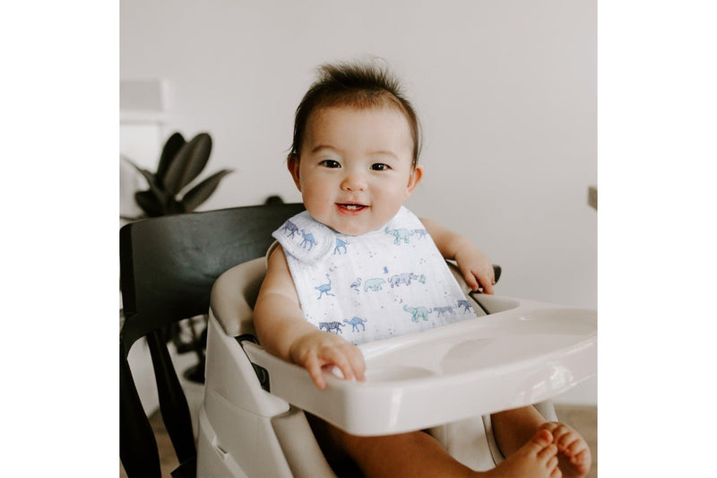 Aden + Anais: Classic Snap Bib Set - Little Big World (3 Pack)