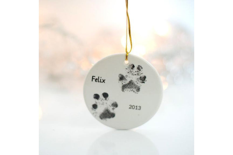 Baby Ink: Inkless Printing Kit - Pet Ink