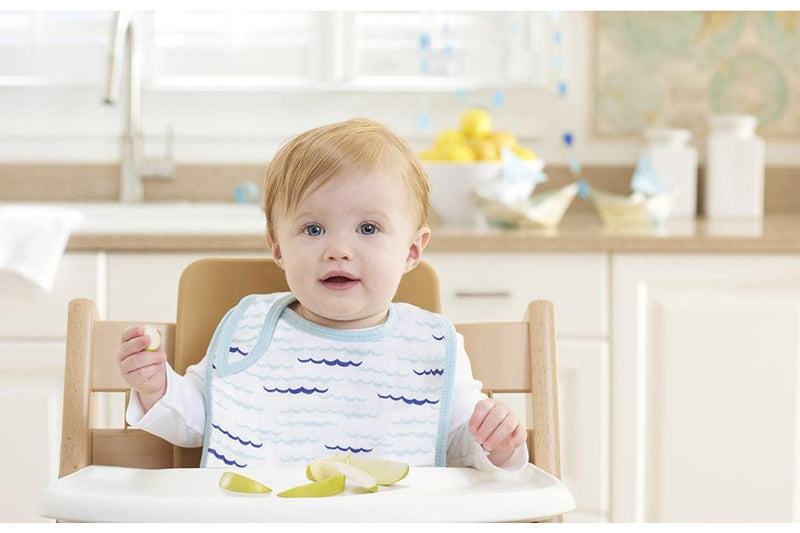 Aden + Anais: Classic Snap Bib Set - High Seas (3 Pack)
