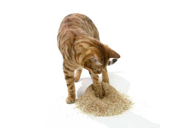 Zodiac Natural Way 6kg Walnut Shell & Cassava Cat Litter Plant-Based Flushable