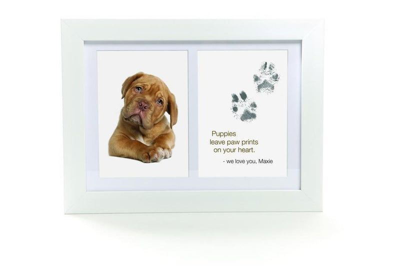 Baby Ink: Inkless Printing Kit - Pet Ink