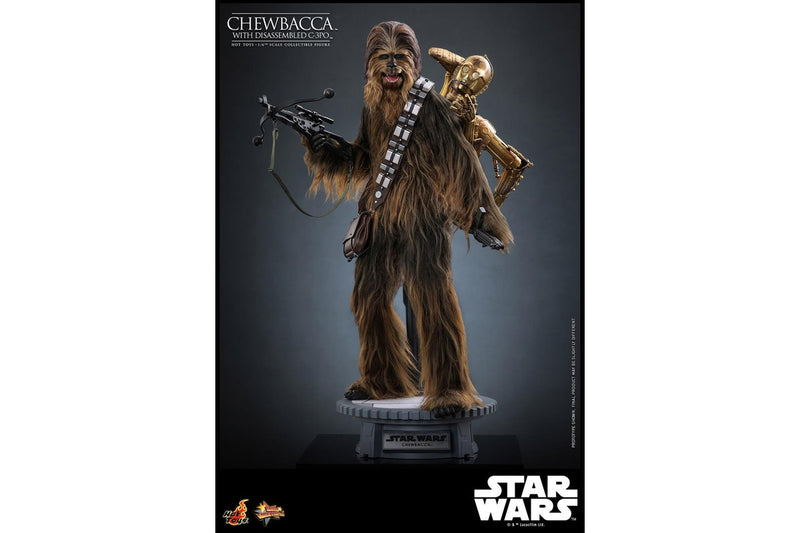 Star Wars: EP5: Chewbacca w/Disassembled C-3PO - 14" Action Figure