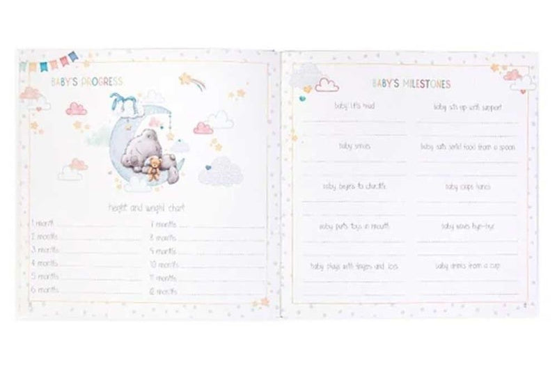 Tiny Tatty Teddy: Baby Journal