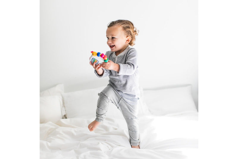 Baby Einstein: Take Along Tunes Musical Toy