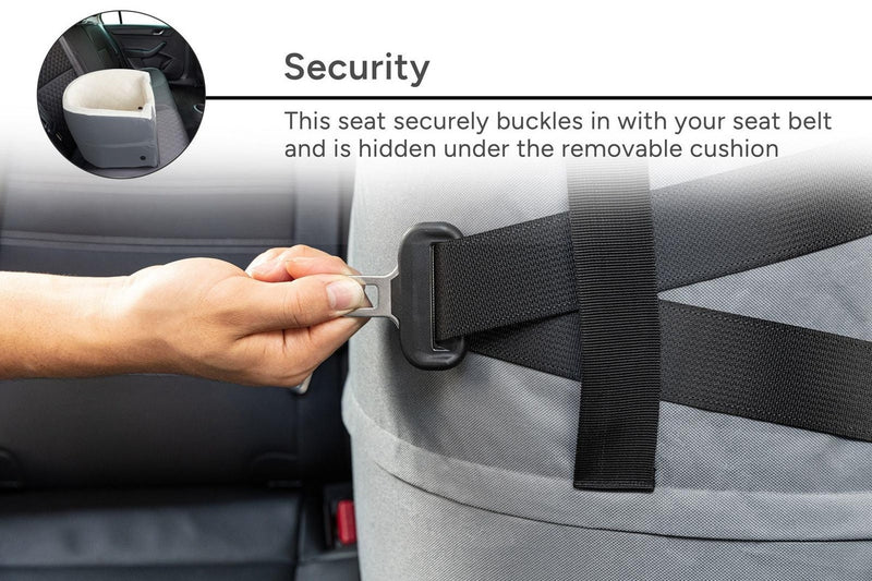 Pawever Pets Padded Dog Car Booster Seat