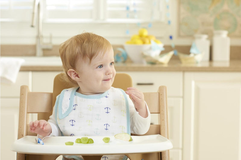 Aden + Anais: Classic Snap Bib Set - High Seas (3 Pack)