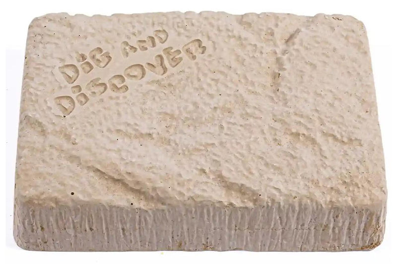 Dig & Discover: Pterosaur Dig Kit