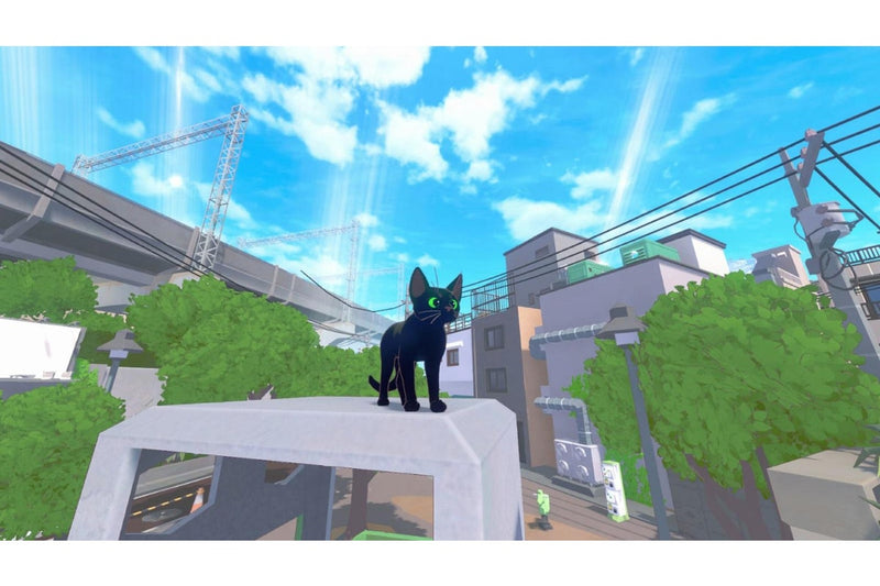 Little Kitty Big City