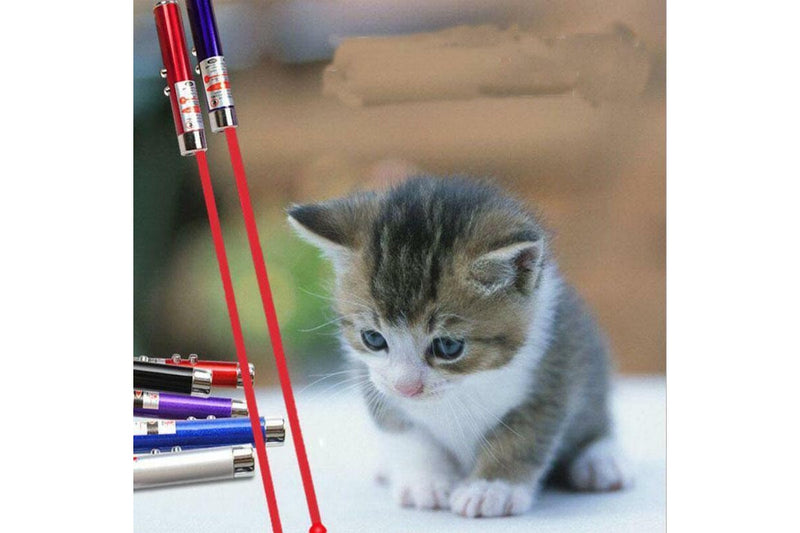 LED Laser Pointer Light Interactive Training Torch Mini Cat Pet Dog Pet Toy