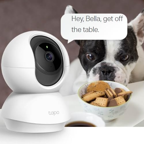 TP-Link Tapo Pan/Tilt Wi-Fi Camera