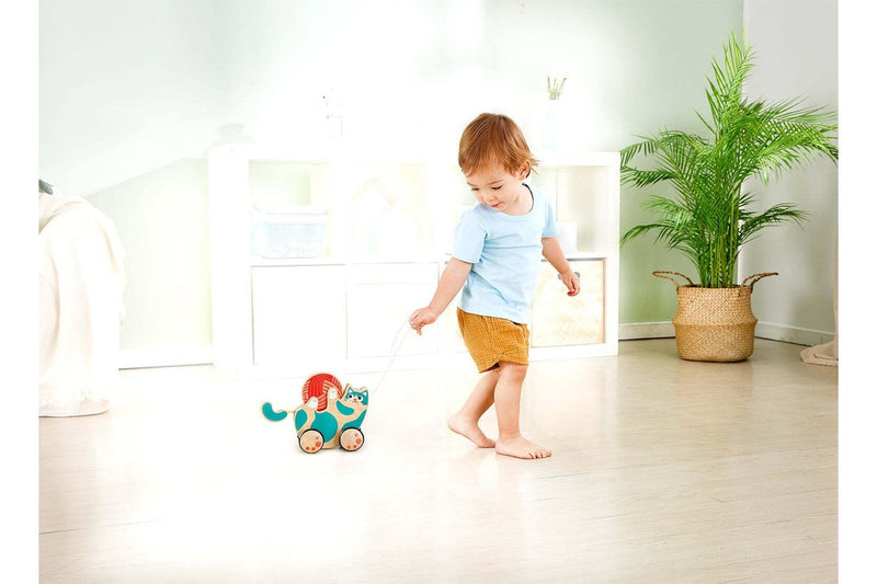 Hape: Roll & Rattle Kitten