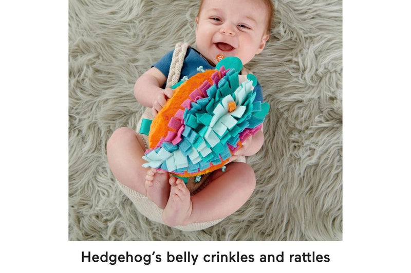 Fisher-Price: Cuddle n' Snuggle Hedgehog