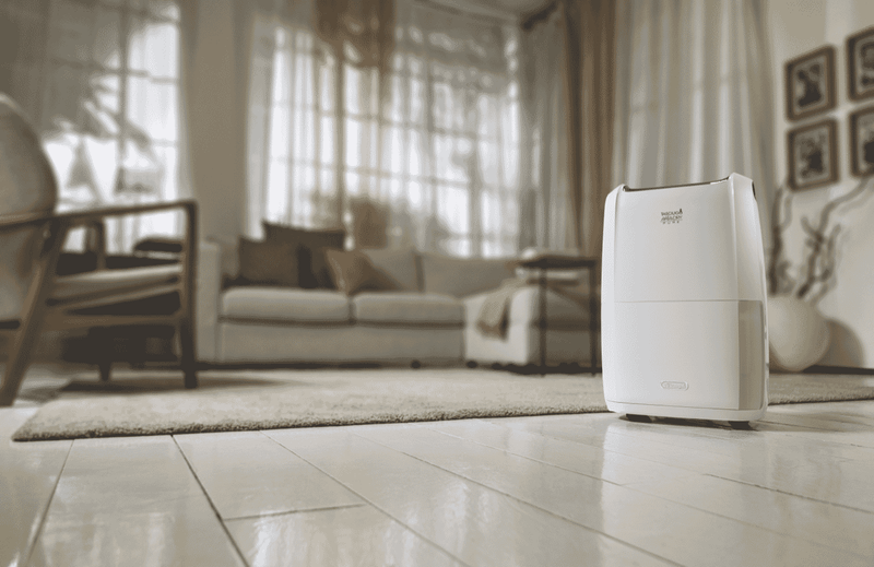 DeLonghi 21L Tasciugo Aria Dry Dehumidifier